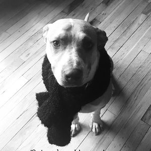 Meet your Posher, Aimee